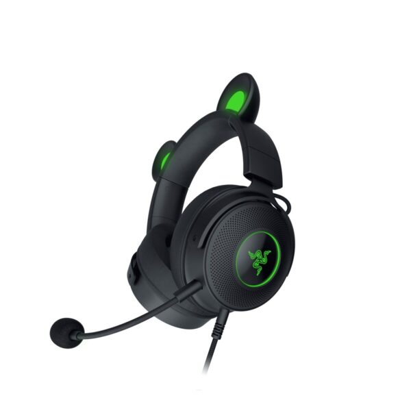 Razer Headphones with Microphone RZ04-04510100-R3M1 Black